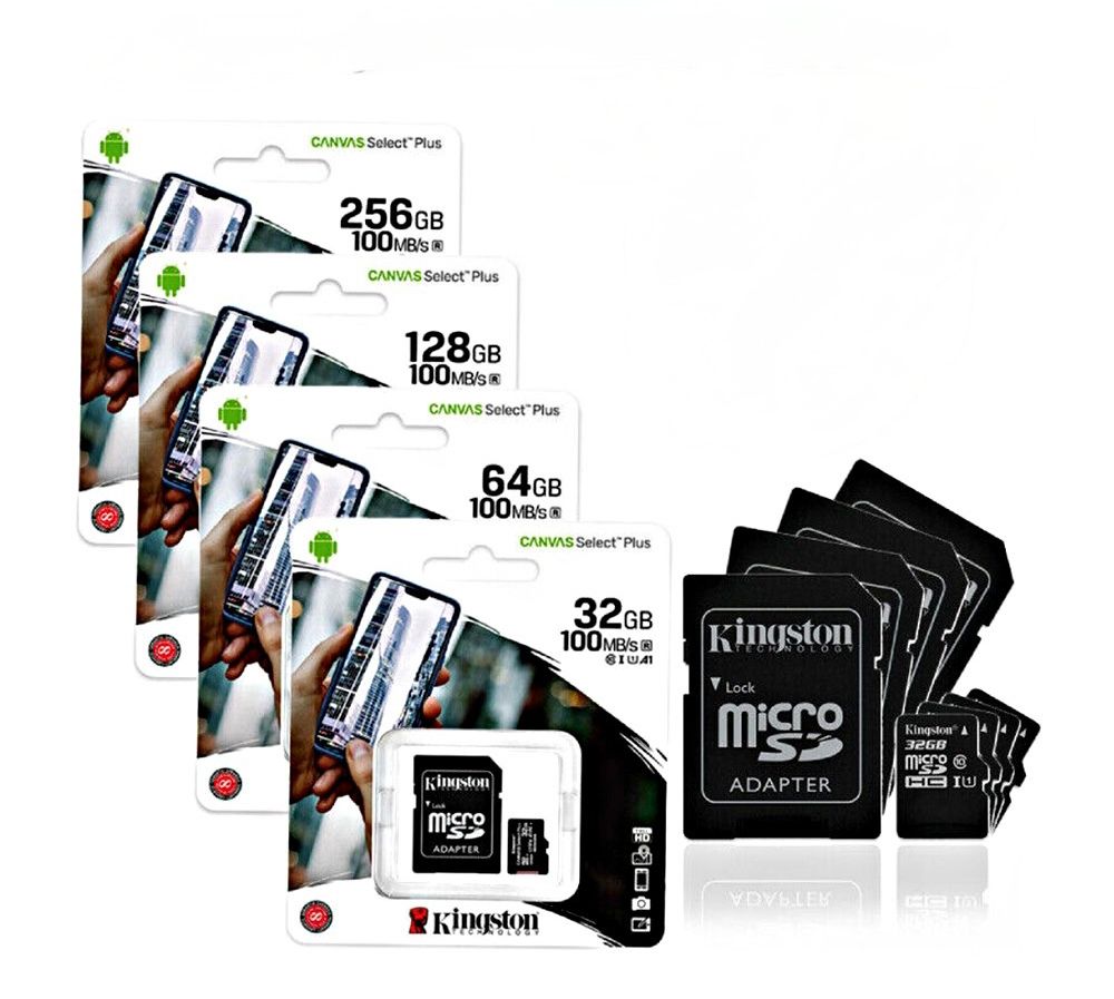 SD CARDS 